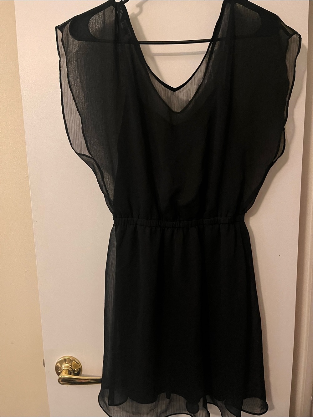 Express Sheer Black Mini Dress